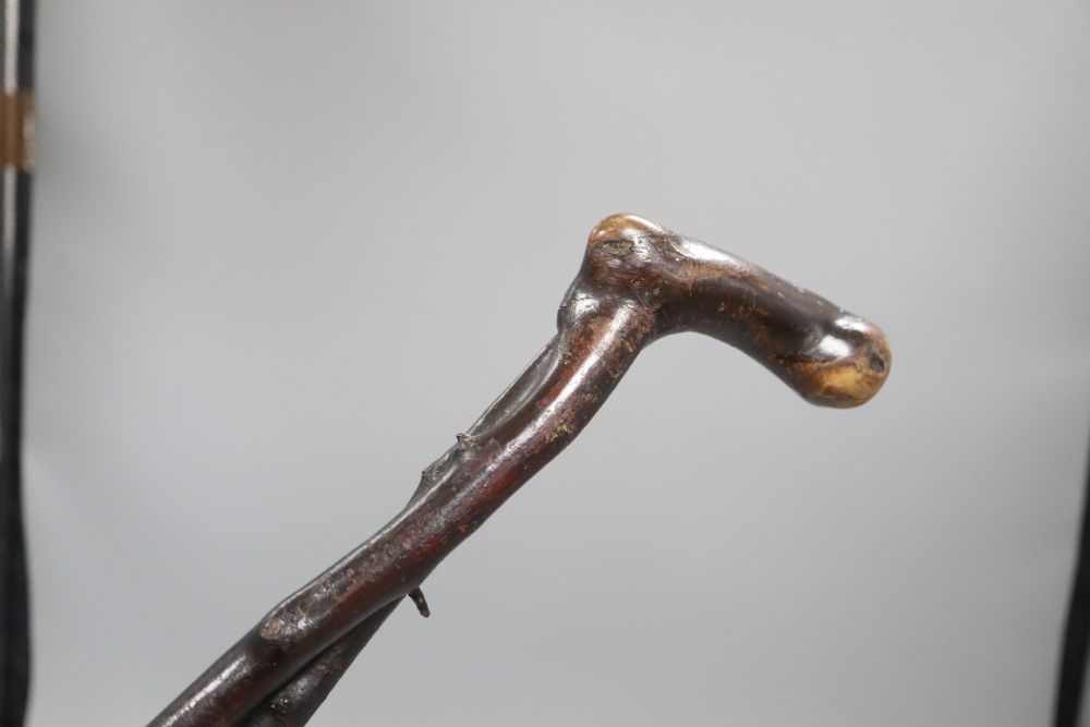 A Blackthorn hedgerow walking stick, c.1820